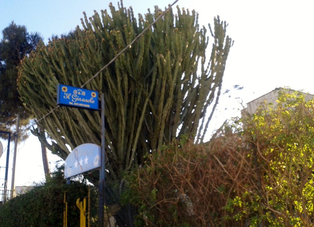 نوتو B&B Il Girasole المظهر الخارجي الصورة
