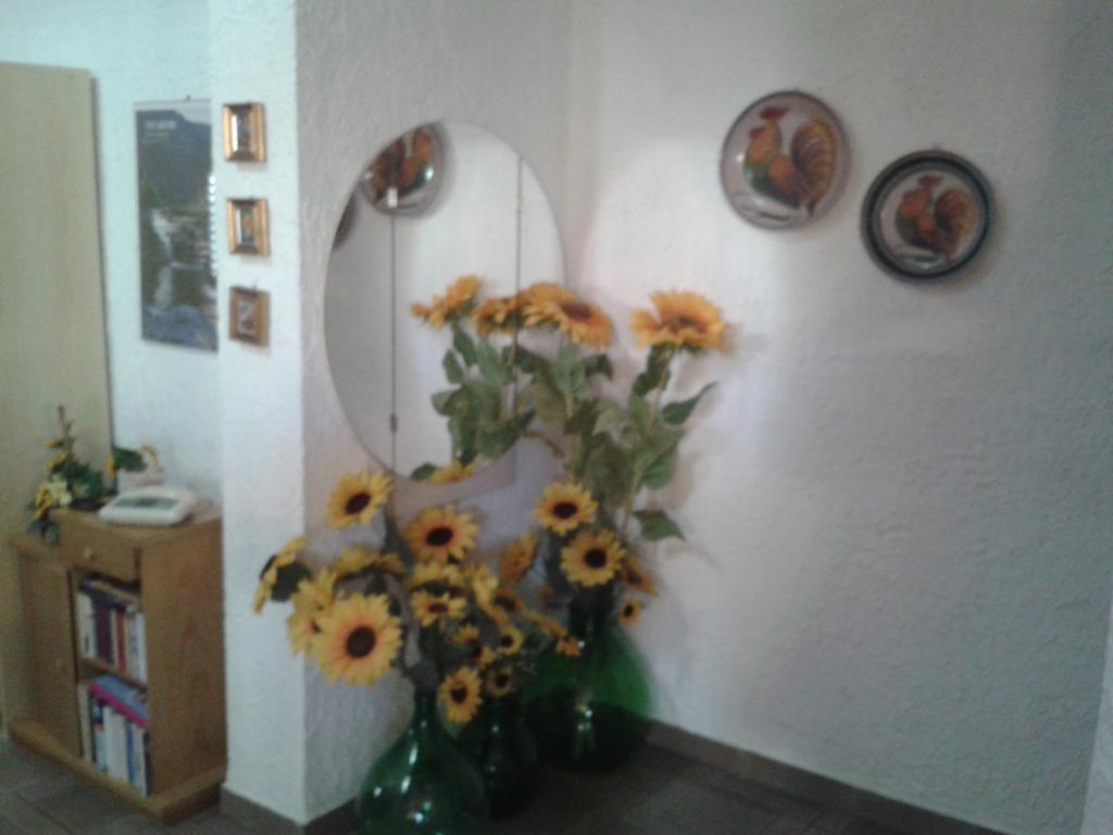 نوتو B&B Il Girasole المظهر الخارجي الصورة