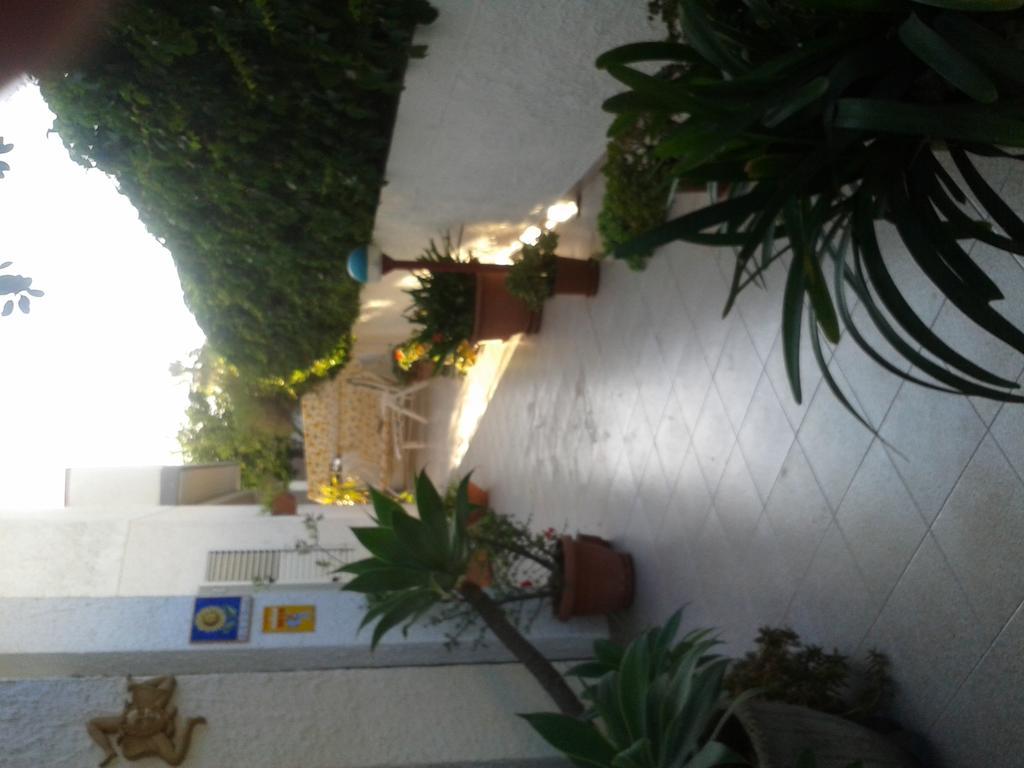 نوتو B&B Il Girasole المظهر الخارجي الصورة